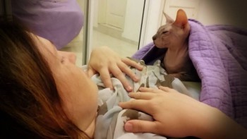 Любимая кошатинка  - 12318507_1073071212737533_290713684_o.jpg