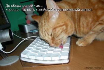 Любимая кошатинка  - VitzmWQDLUA.jpg