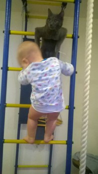 Любимая кошатинка  - WP_20151212_11_27_44_Pro.jpg