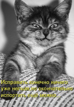 Любимая кошатинка  - SI_FVDvfX-c.jpg