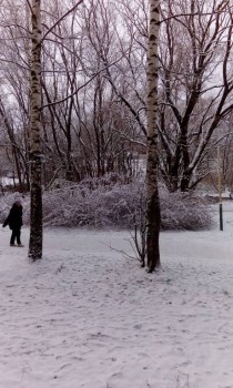 А что у нас с погодой? - 5 - IMG_20151215_111714.jpg