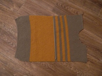 Быстрее моли - 5 - DSCN6288.JPG