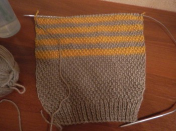 Быстрее моли - 5 - DSCN6289.JPG