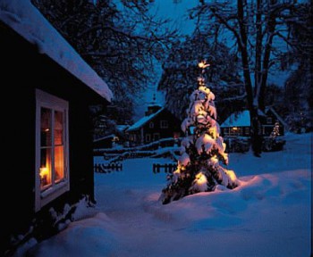 Про аватарки обсуждения -3 - 1230214046_s_404.jpg