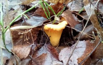 А что у нас с погодой? - 5 - 10861299_m.jpg