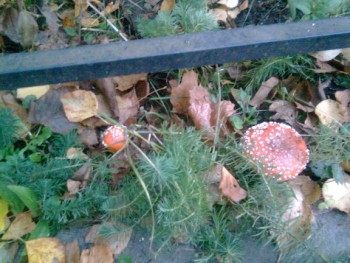 А что у нас с погодой? - 5 - Фото0694.jpg