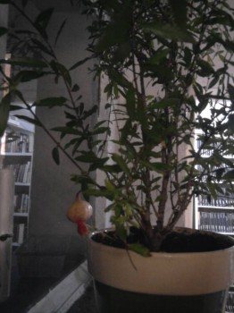 гранат из библиотеки