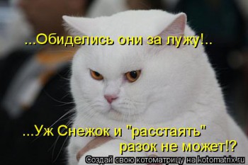Любимая кошатинка  - 758361.jpg
