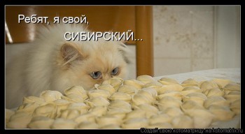 Любимая кошатинка  - kotomatritsa_00.jpg