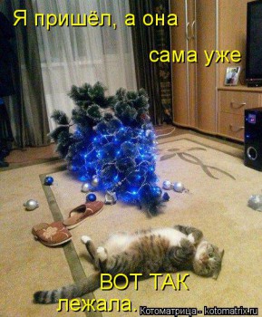 Любимая кошатинка  - kotomatritsa_v.jpg