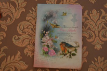 Рождественская акция - 3 - DSC_6663.JPG