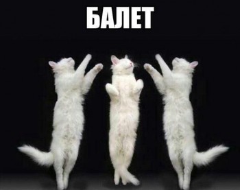 Любимая кошатинка  - nRJwVhyXpUE.jpg