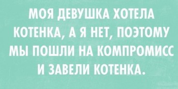 Любимая кошатинка  - ed5FQ76qTD4.jpg