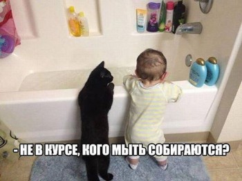 Любимая кошатинка  - wdCGLl8ORVY.jpg