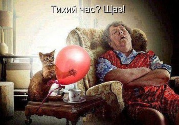 Любимая кошатинка  - 9g4W2WxPJOg.jpg