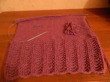 Быстрее моли - 5 - DSCN6341.JPG