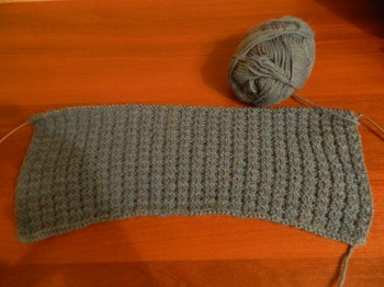 Быстрее моли - 5 - DSCN6339.JPG