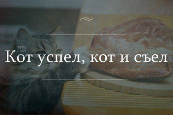 Любимая кошатинка  - 12647227_185885021769861_5758318301206688691_n.jpg