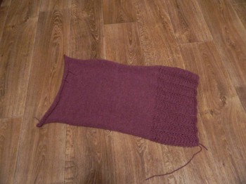 Быстрее моли - 5 - DSCN6353.JPG