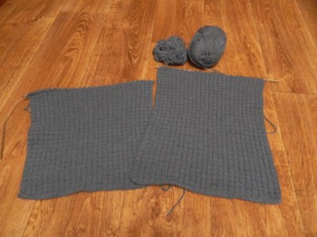 Быстрее моли - 5 - DSCN6351.JPG