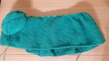 Быстрее моли - 5 - 20160209_075401.jpg